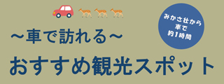 車で訪れる　おすすめ観光スポット